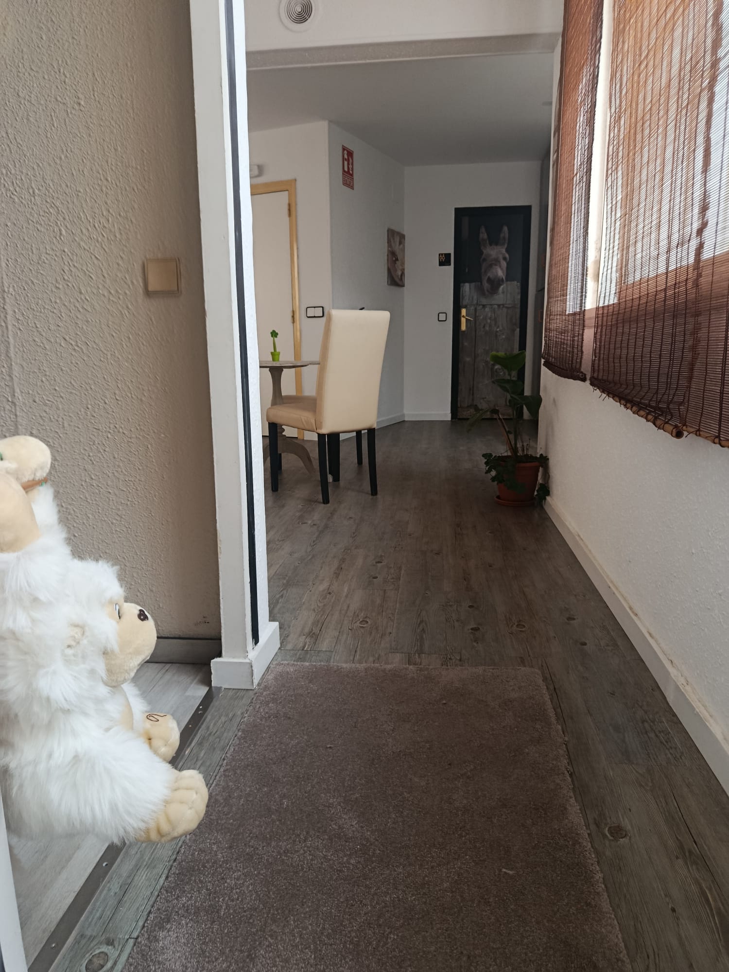 Zona de recepció ESPAI SALUT Rubí